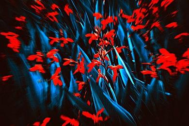 任天堂系独游《Indie World促销》开启 多款创意游戏在列